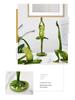 Yoga Frog Figurine Birthday Gift - Ideal for Bedroom, Study, Living Room, Desktop, Entrance, TV Cabinet, or Wine Cabinet Decor