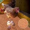 Premium Soft Padded Chicken Nesting Mats - Super Absorbent, Durable & Easy To Clean - Reptile Habitats & Healthy Livestock
