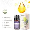 PHATOIL 10/20/30ML Patchouli Plant Essential Oil for Spa Boost Immunity Skin Care Purify the Air Bactericide Lavender Rose Water Soluble Oil