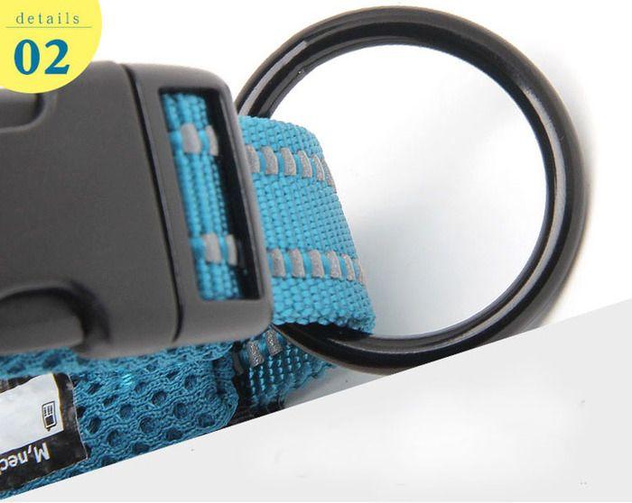 Collier pour chien - Confortable - Nylon rembourré - Bande réfléchissante 3M - Taille XXL - Bleu Royal