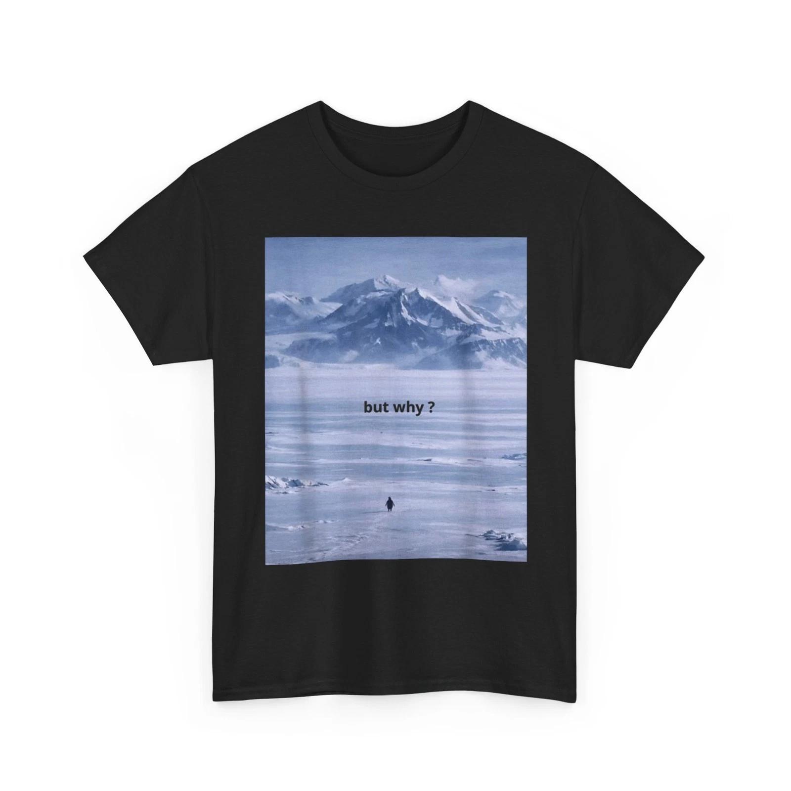 Penguin But Why Meme Head Towards The Mountains Motivational T-Shirt 2XL