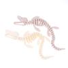 1 sztuka Realistyczna replika szkieletu Mosazaura Dekoracja do akwarium Model szkieletu dinozaura Do dekoracji akwarium
