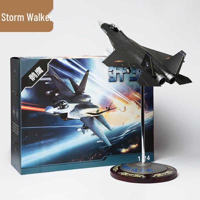 Storm Walker J-31 Fighter Jet Model