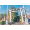 Kenko Soft Filter Nostal Tone Blue 77mm - Soft Effect & Color Enhancement - Creates an Anime Scene-like Look - Made In Japan - 006672