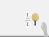 Mizuno ALTIUS INNER Table Tennis Racket 83GTT201 FL (Flare)