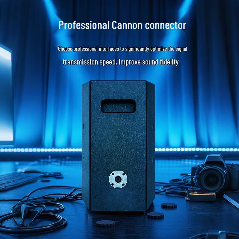 Weishu BM-680 Conference Full-range Passive Speaker (CN Version)