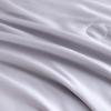 Crown Cocoon Joy 100% Lyocell Silk Cooling Quilt