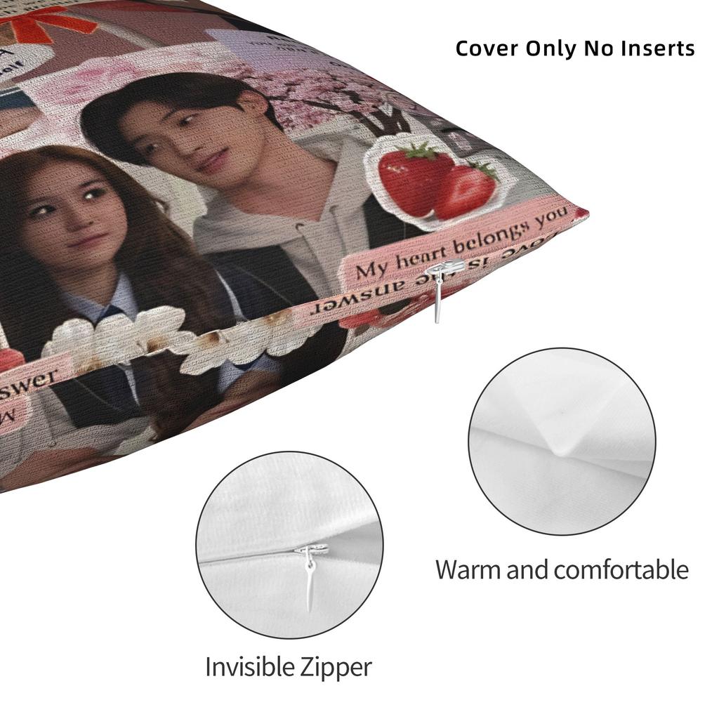 Tv Xo Kitty Kim Min Ho Pillow Case Comfy Pillow Cover For Sofa Home Decor Funny Cushion Cover