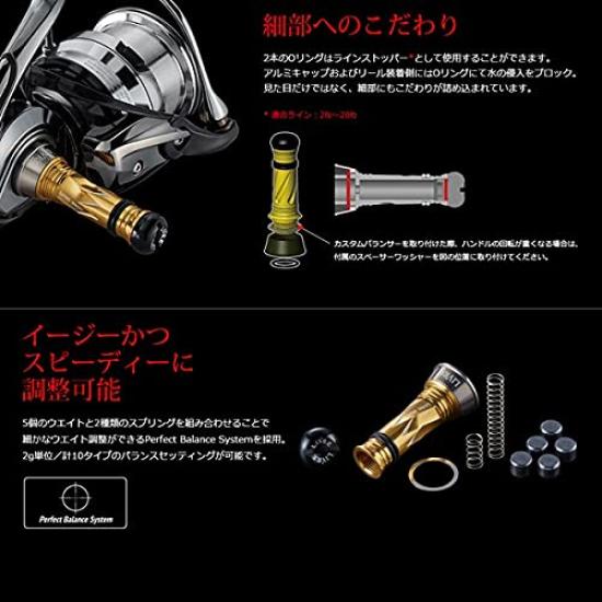 LIVRE 10570 Custom Balancer Type2 Daiwa THEORY Series C3 Type Titanium x Titanium 1003~3012