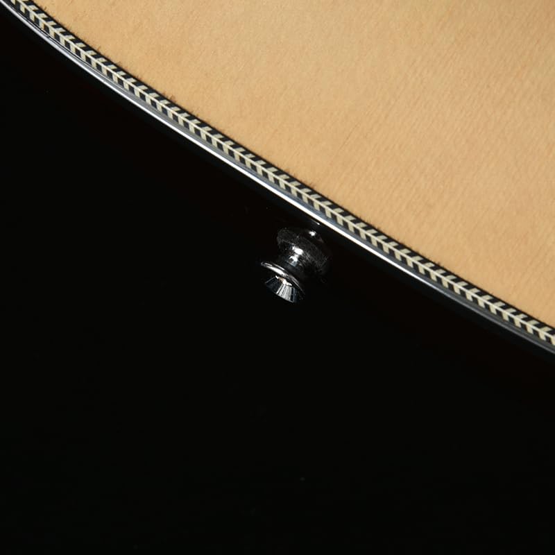 BACCHUS Global Series NA Electric Guitar BARON-JAZZ