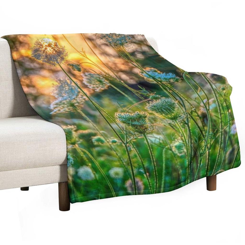 Sonnenuntergang hinter Wilder Möhre Überwurfdecke Decken für Baby Sofabett Extra Großer Überwurf Weiche Decken