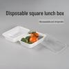 Food-Grade Disposable Square Plastic Takeout Containers