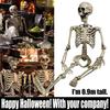  Human Skeleton Decoration Halloween Party Prop Decoration