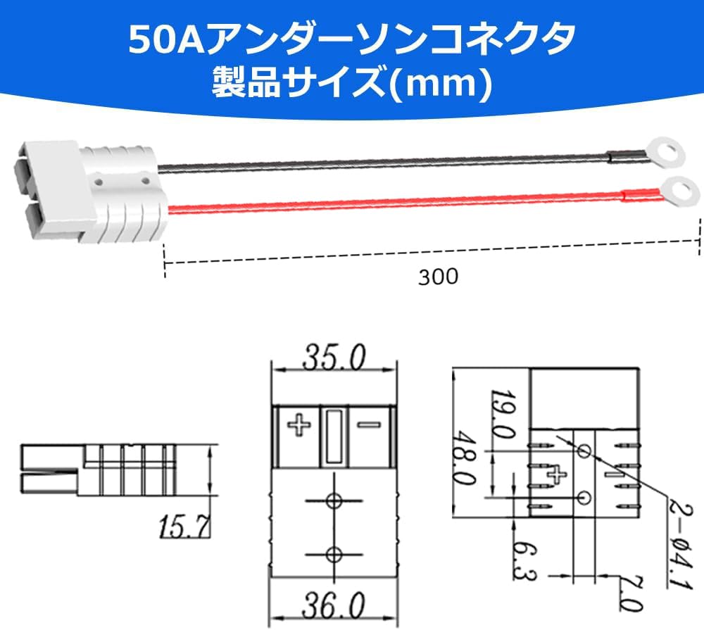 PTPTCAMT 14.6V 10A Ion Phosphate Charger, AC-DC Rapid Charging, LiFePO4