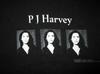 Unisex Shirt Cotton Oversize Large Size New 1995 PJ HARVEY VINTAGE TSHIRT