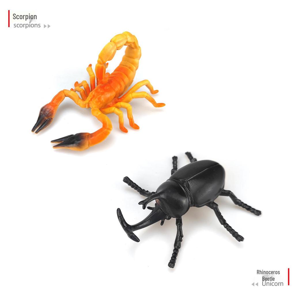 Children's Cognitive Teaching Toys: Insect Models - Butterfly, Ladybug, Rhinoceros Beetle, Bee, Grasshopper