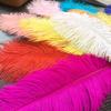 Ostrich Hair Colored Feathers 20-25Cm Wedding Table Lamp Decoration Stage Diy Material Clothing Accessories