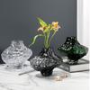 Luxury Glass Hydroponic Flower Vase: Elegant Home Decoration for Living Room