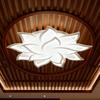 Dimmable Floral Ceiling Light Adjustable Light Color Lamp with Remote Control Modern Acrylic LED Fixture for Living Room & Bedroom