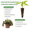 50 Stück Samenwachstumsschwämme, Ersatzschwämme für Wurzelwachstum, Setzlings-Starterstopfen, Samenstarter, Seed Pod, Hydrokultur-Gartenbepflanzung