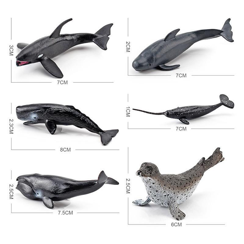 Marine Animal Pvc Model With Realistic Design For Education And Collection