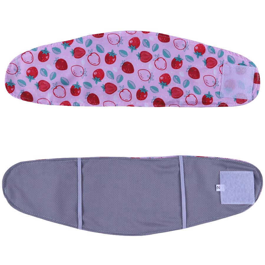 Washable Male Dog Diapers - Hot Selling Teddy Physiological Pants