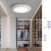 Rechargeable Motion Sensor Ceiling Light for Home Decor & Corridor Ambiance