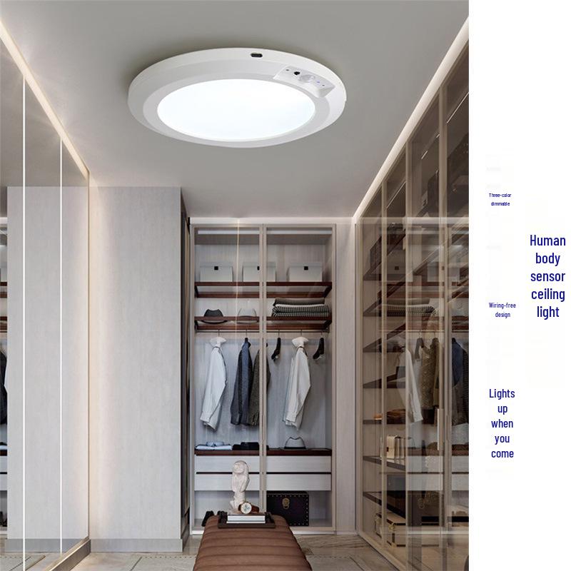 Rechargeable Motion Sensor Ceiling Light for Home Decor & Corridor Ambiance