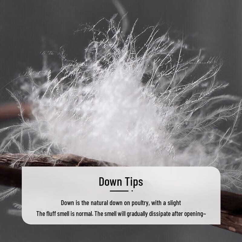 FUANNA Antimicrobial 95% White Goose Down Winter Comforter
