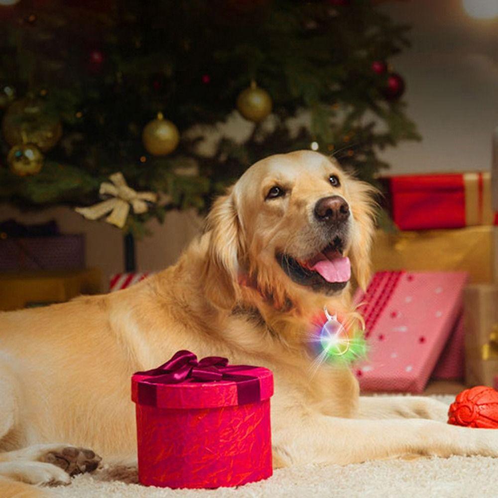 2Pcs Rechargeable Luminous Collar Anti-Lost Dog Walking Lamp Pendant Night Walks