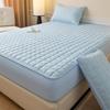Waterproof Non-slip Floor Mat & Mattress Protector Set