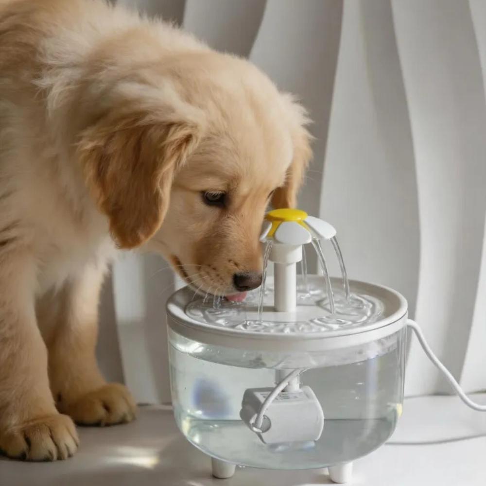 Large Capacity Pet Water Fountain Automatic Circulating Filter Drinking Dispenser for Cats Small Dogs