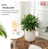 Nordic Creative Self-Watering Large Round Rattan Style Indoor Flower Pot for Green Plants