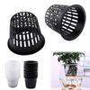 Hydroponic Planting Basket, Soilless Cultivation 3-Inch Seedling Cup, Plastic Mesh Pot for Vegetables, Herbs, and Garden Seedlings