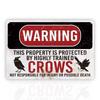 Funny Crow Warning Metal Sign  Vintage Farmhouse Decor with Crow Design  HeavyDuty Iron Construction  Funny Crow Killer Deco