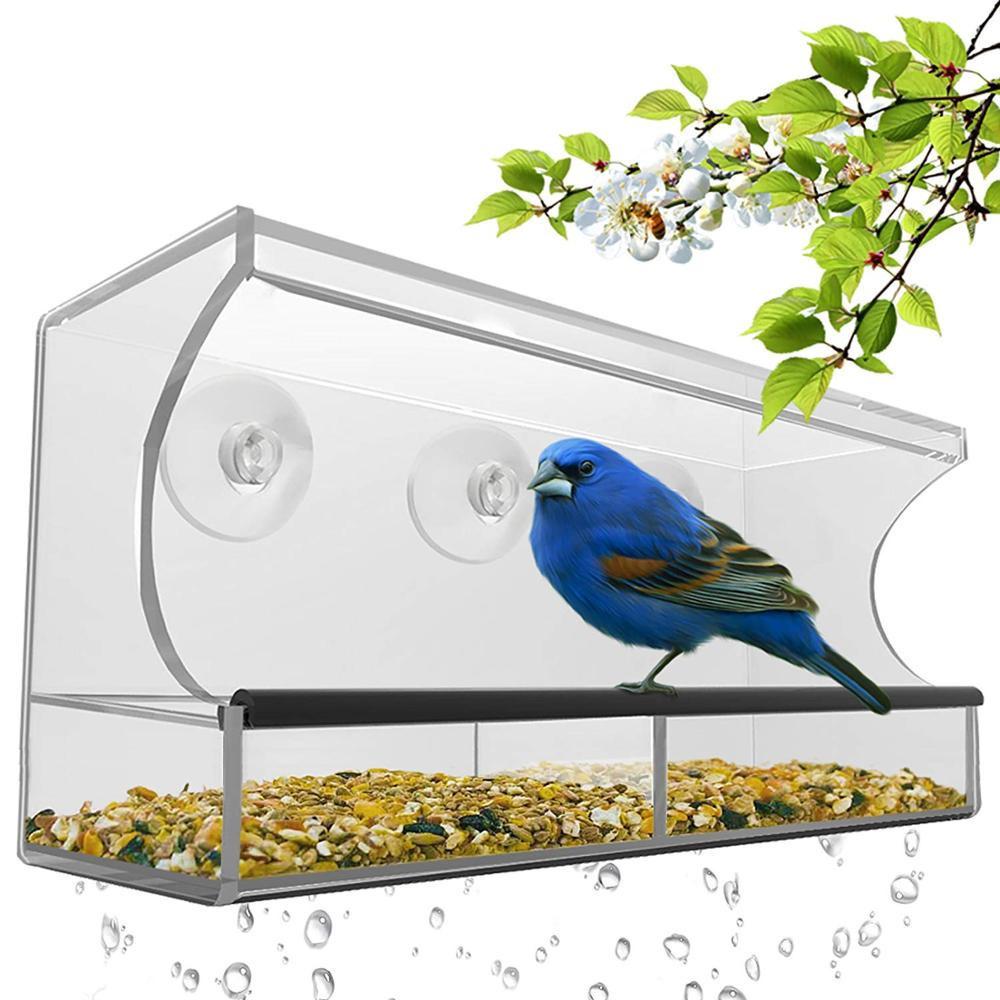 Clear Acrylic Wall-Mounted Bird Feeder with Suction Cups
