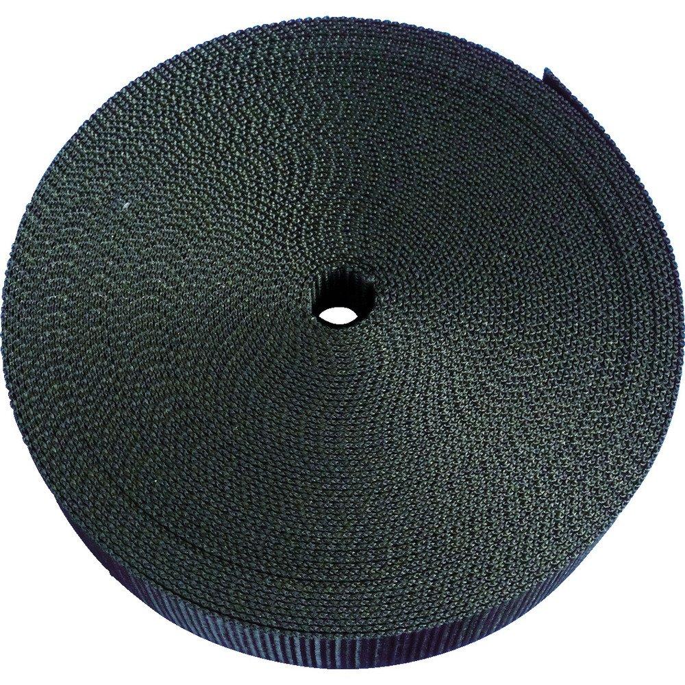 

TRUSCO Нейлоновый плоский строп 1,2 т x 25 мм x 10 м Черный TNB2510-BK