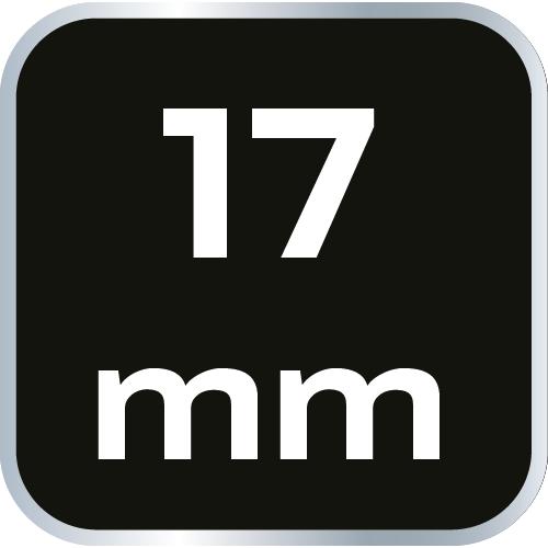 Ratcheting Combination Wrench with Switch 17 Mm