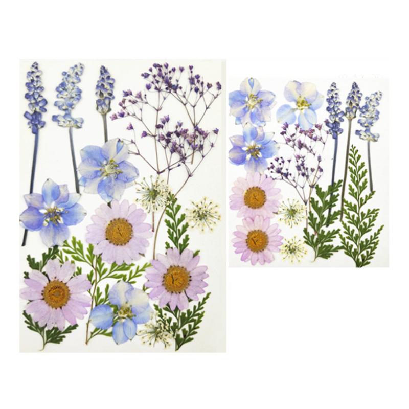 4 Inch 6 Inch Diy Glass Photo Frame Handmade Creative Simple Dried Flower Picture Frame Minimalist