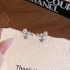 Korean Micro-inlaid Zirconium Pearl Pentagram Earrings Women's Niche Design Temperament Earrings New Ear Jewelry