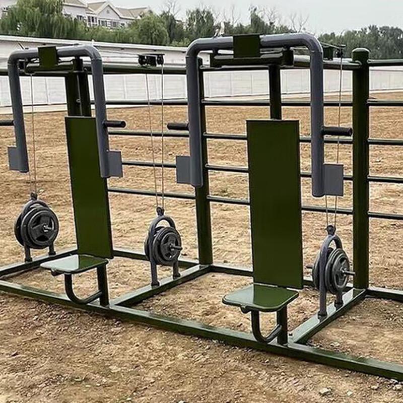 Outdoor Dual-Person Chest Press Machine