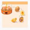 6 Eggs Fully Automatic Turning Hatchery Incubator Egg Brooder Machine Mini Household Digital Temperature Control Hatching Device