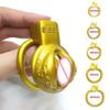 Sissy Golden Pussy Cock Cage Muž Trénink Malá Cudnost Zařízení BDSM Bondage Lock Cage Penis Ring Sexy hračky pro homosexuály Ladyboy pro