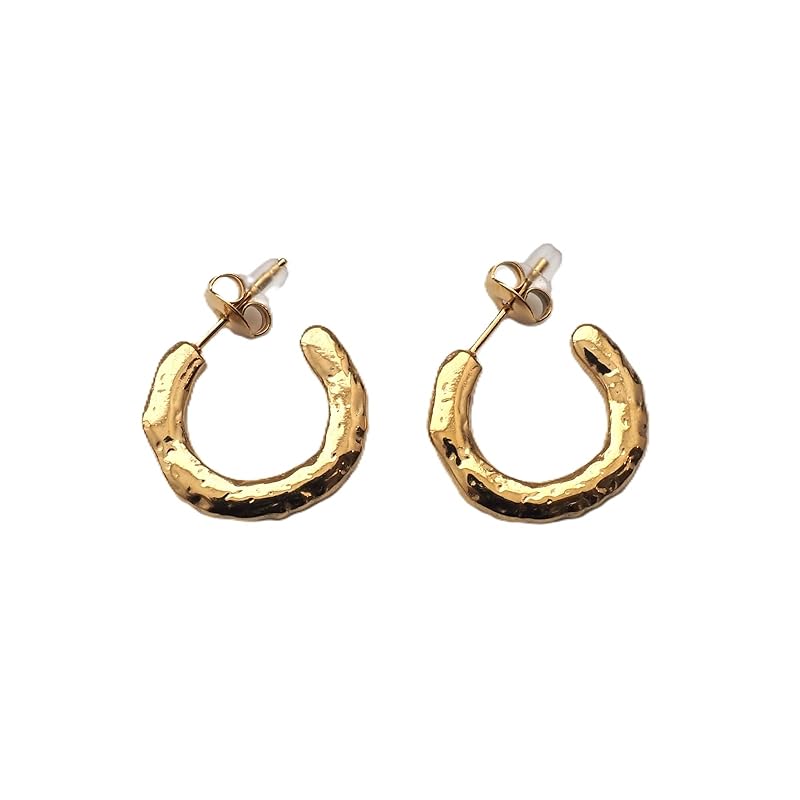 

Brilliet earrings hoop ladies earrings stainless accessories cute Fashionable Affordable present
