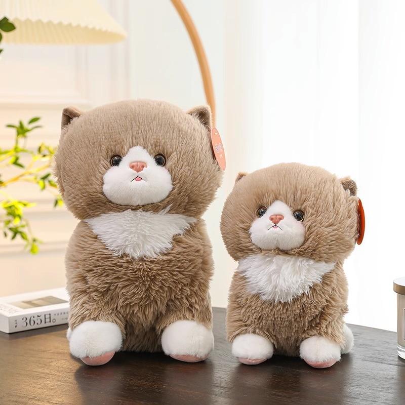 Toys Plush Cat Animal Stuffed Dolls Children Gifts Home Decorations Bedroom