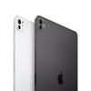 Apple iPad Pro 13-inch (2025) with M5 Chip (CN version)