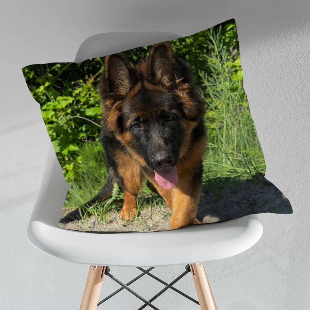 German Shepherd Dogs Various Sizes Square Pillow Case For Car Home Bedchamber Decor Birthday Gift