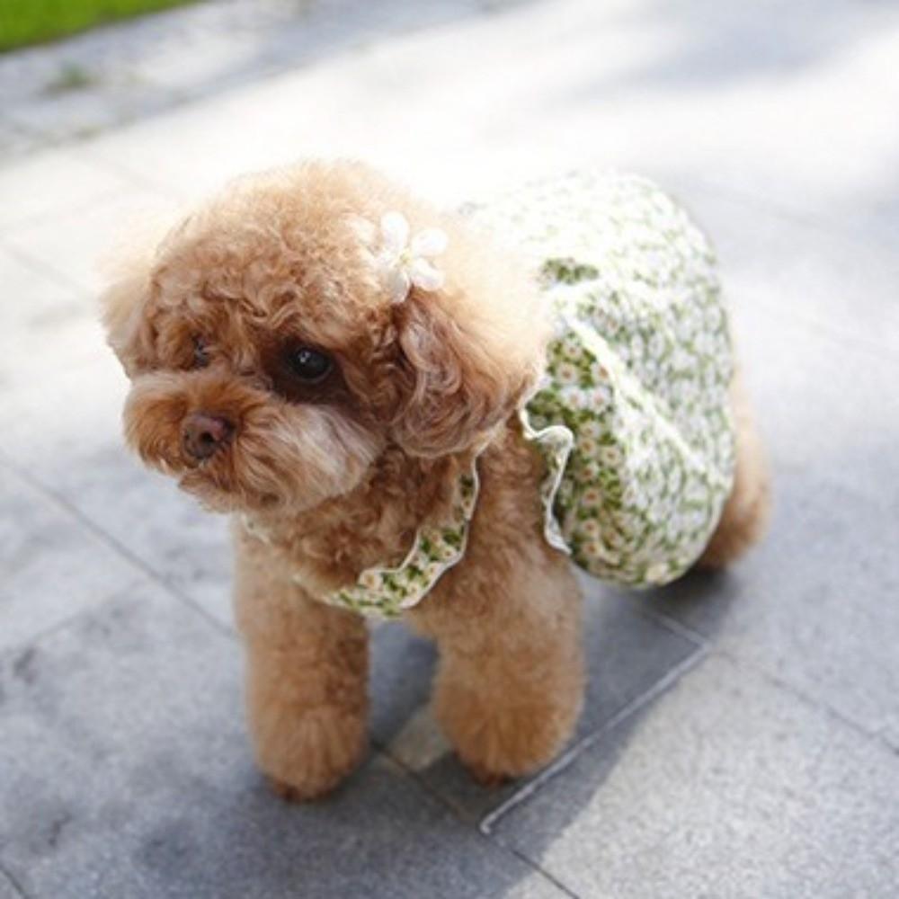 Soft Cat Suspender Skirt Breathable Dog Vest Fashion Dog Floral Dress  Spring Summer