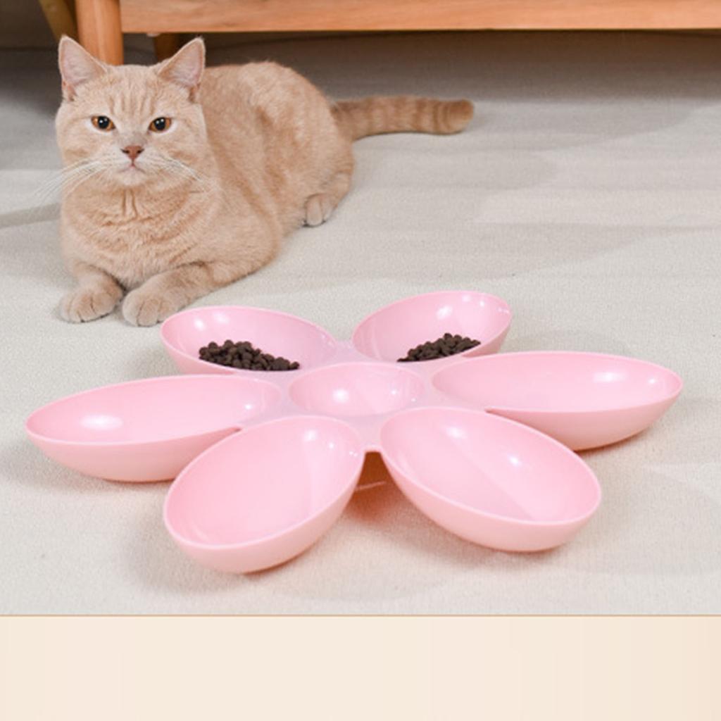 Katzennapf Kunststoff 6 Blütenblätter Langlebig Leicht zu Reinigen Welpenfutterspender für Kleine Katzen Kätzchen