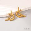 High-End European & American 18K Gold Stainless Steel Stud Earrings - Fashionable, Versatile, and Colorfast Niche Jewelry
